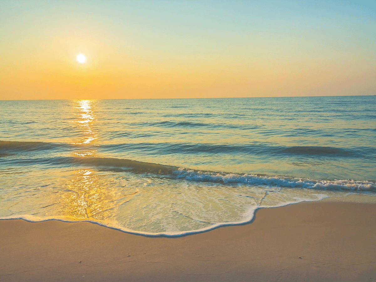 Discovering the Best Beaches Near London